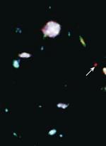 Entfernungen im Universum: die Cepheiden-Methode