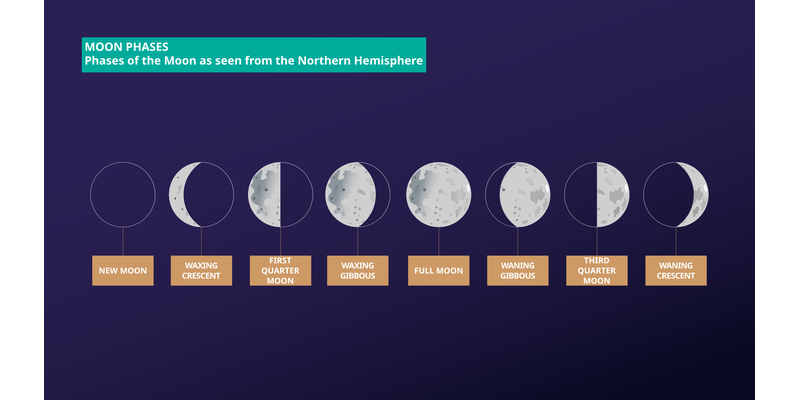 The Moon begins as dark, an illuminated portion grows from the right. Then once fully illuminated a dark portion grows from the right
