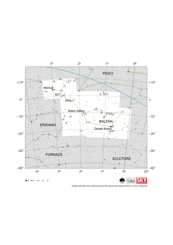 La Balena appare come due ellissi, la più piccola a nord-est della più grande, collegate da una linea.