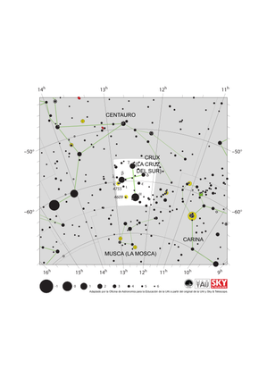 Las cuatro estrellas brillantes de Crux forman una cometa cuyo eje mayor apunta verticalmente.
