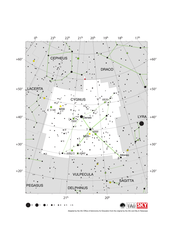 Cygnus looks like a swan in flight with the neck pointing to the lower right (south-west). Deneb is the tail
