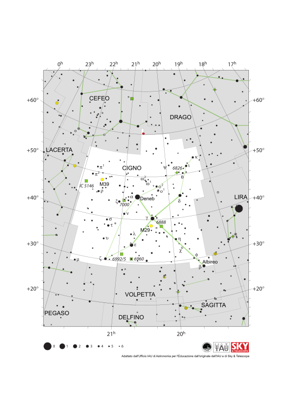 Il Cigno sembra un cigno in volo con il collo rivolto in basso a destra (sud-ovest). Deneb è la coda