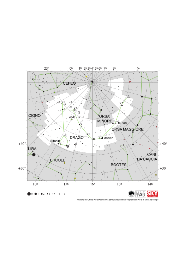 Draco ha la forma di una lettera s rovesciata e ruotata di 90 gradi.