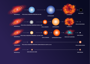 Un diagramma che illustra le fasi evolutive di cinque classi di massa delle stelle.