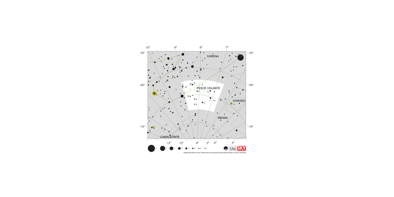Le stelle del Pesce Volante hanno la forma di due triangoli collegati da un vertice.