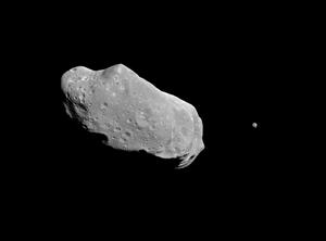 Der Asteroid Ida ist grau und hat die Form einer Kartoffel mit vielen flachen Kratern. Sein Mond Dactyl ist 40 Mal kleiner.