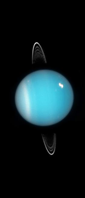 Urano appare come un disco azzurro con una regione polare chiara. Sottili anelli bianchi circondano il pianeta