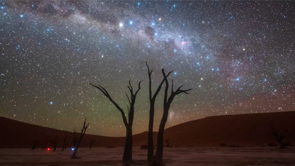 Timelapse di cieli rotanti dietro alberi, telescopi, montagne e osservatori