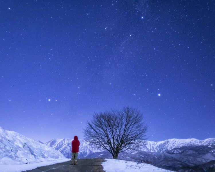 Una persona accanto a un albero in un paesaggio invernale. In alto nel cielo un grande triangolo di tre stelle luminose.