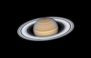 The planet Saturn with pale brownish cloud ribbons and its thin and extended greyish rings