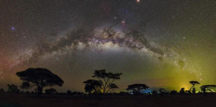 The Milky Way arches over an African grassland. Its diffuse glow is interrupted by a stream of dark patches.