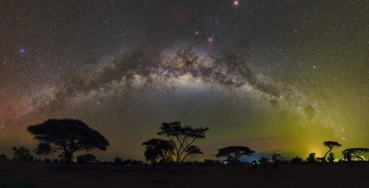 The Milky Way arches over an African grassland. Its diffuse glow is interrupted by a stream of dark patches.