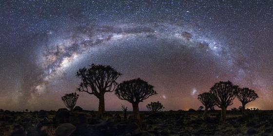 The arc of the Milky Way over some trees. Two small galaxies can be seen in the lower middle of the image.