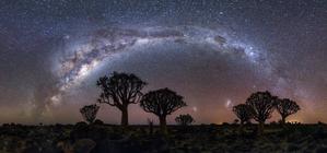 L'arc de la Voie Lactée au-dessus de quelques arbres. Deux petites galaxies sont visibles dans la partie inférieure de l'image.