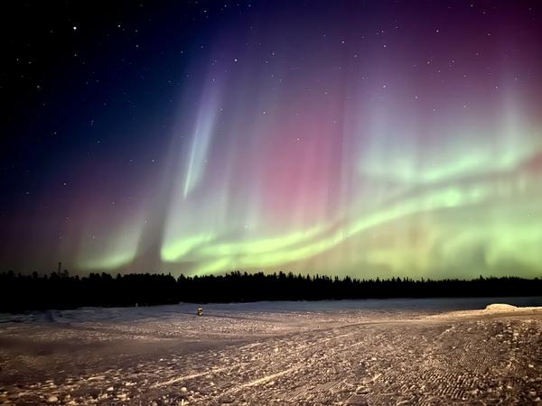 Ripples of green light over a tree-lined horizon. Pillars of white light rise into the sky.