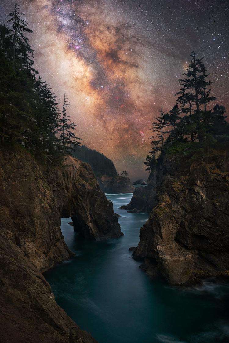 Behind a jagged, wooded landscape, the Milky Way appears as two yellowish brown streams of light broken by patchy dark areas