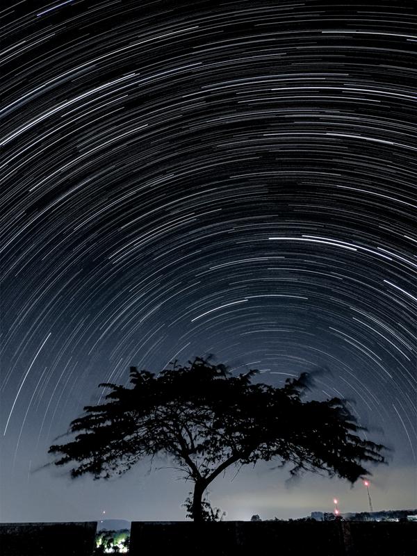 Hundreds of small arcs made by stars form circles centred on a point near the horizon. A tree stands in the foreground.