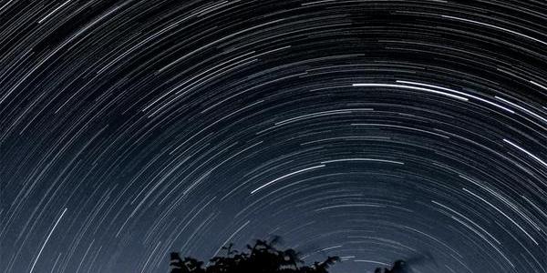 Centinaia di piccoli archi di stelle formano cerchi centrati su un punto vicino all'orizzonte. In primo piano c'è un albero.