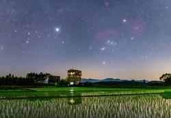 Over a watery field, Orion is shaped like a bow-tie turned 45 degrees. The bright star Sirius is in the image's left half