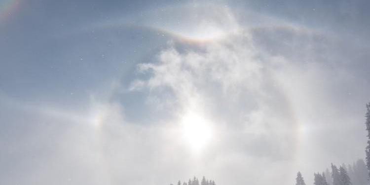 Il Sole, circondato da diversi cerchi e archi luminosi, su un paesaggio innevato e delimitato dagli alberi.