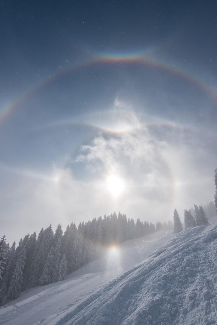 Il Sole, circondato da diversi cerchi e archi luminosi, su un paesaggio innevato e delimitato dagli alberi.